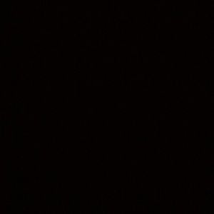 Meet your Posher, Bryan